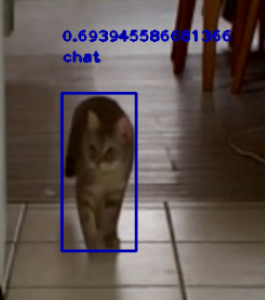 chat detecte