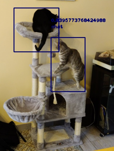 Detection de chat