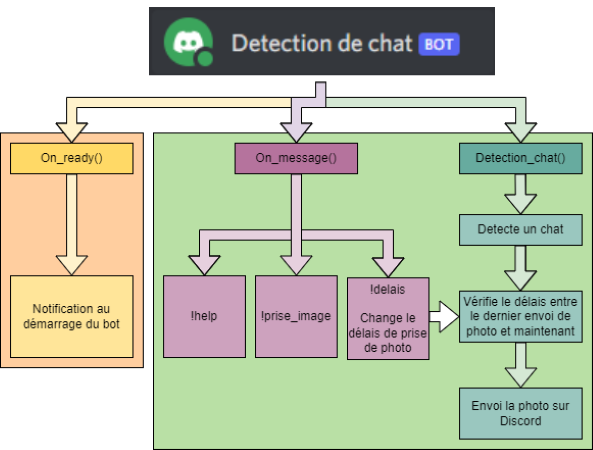 diagramme chat detecte